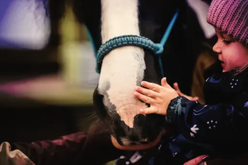 Kontaktní hipoterapie